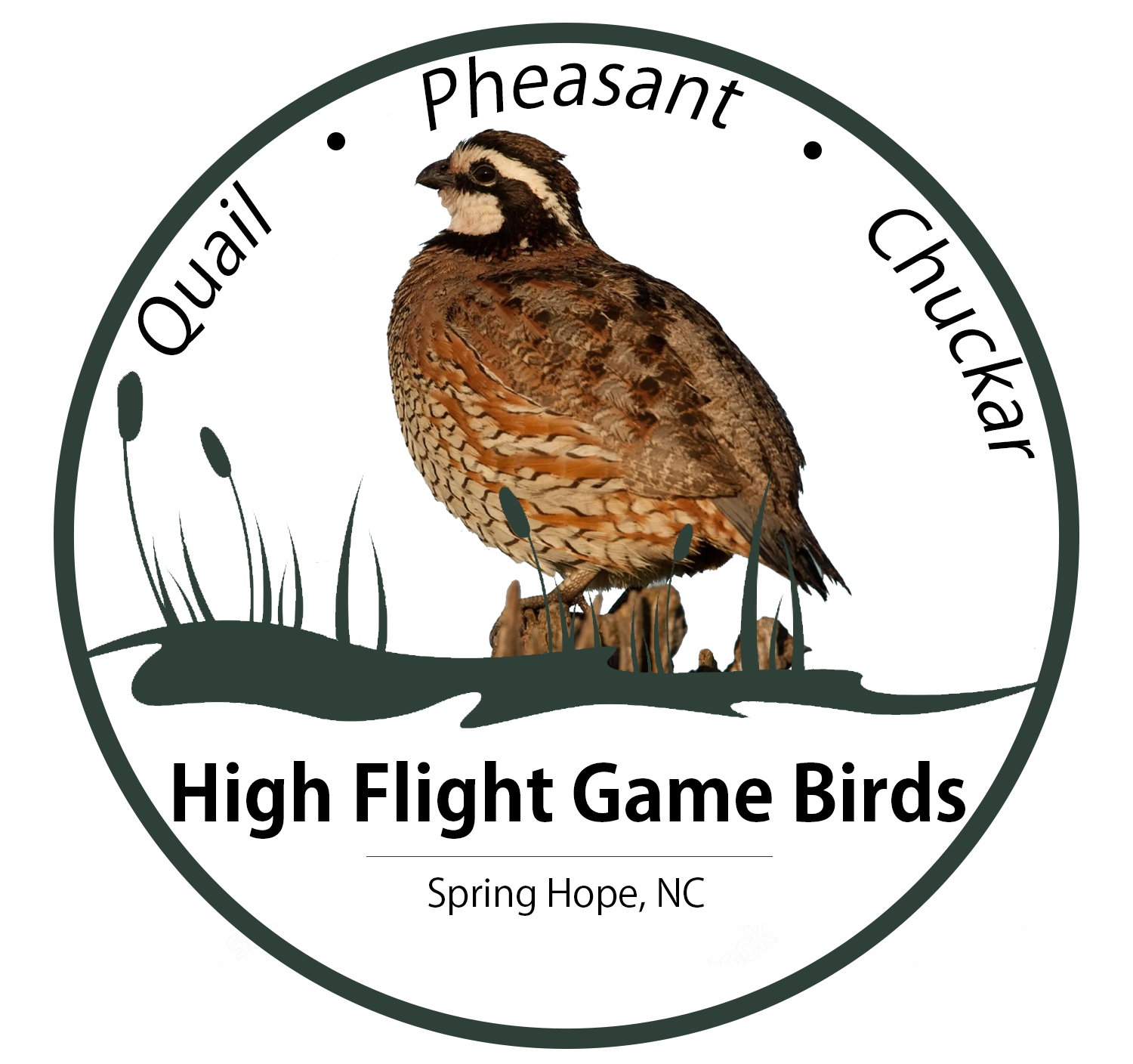 http://ncgamebirds.com/wp-content/uploads/2019/03/Quail-Logo-Photo.jpg